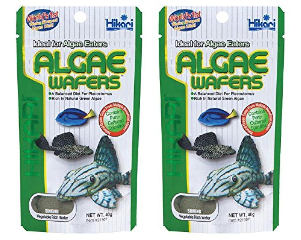 Hikari galletas de algas tropicales para plecostómidos, con textura estable que fomenta la ingesta.