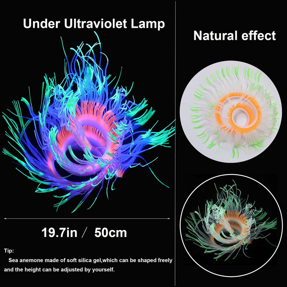 HIKTIQIW anémona verde fluorescente destaca visualmente en el acuario