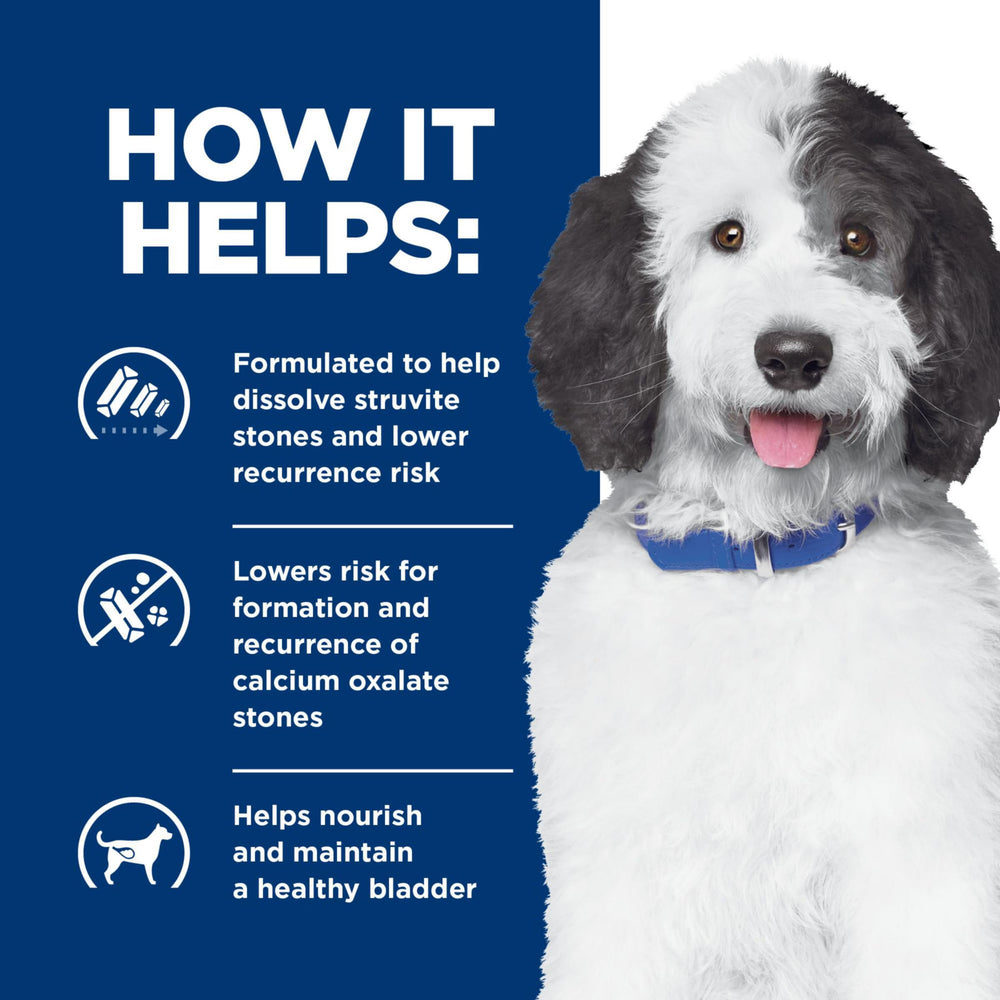 Omega-3 en Hill's c/d Multicare para bienestar del perro