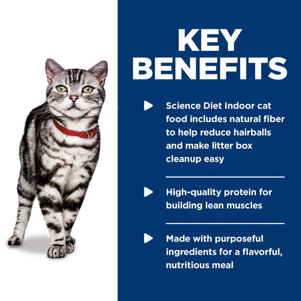 Ración servida en cuenco, Hill's Science Diet, sabor oceánico para gatos.
