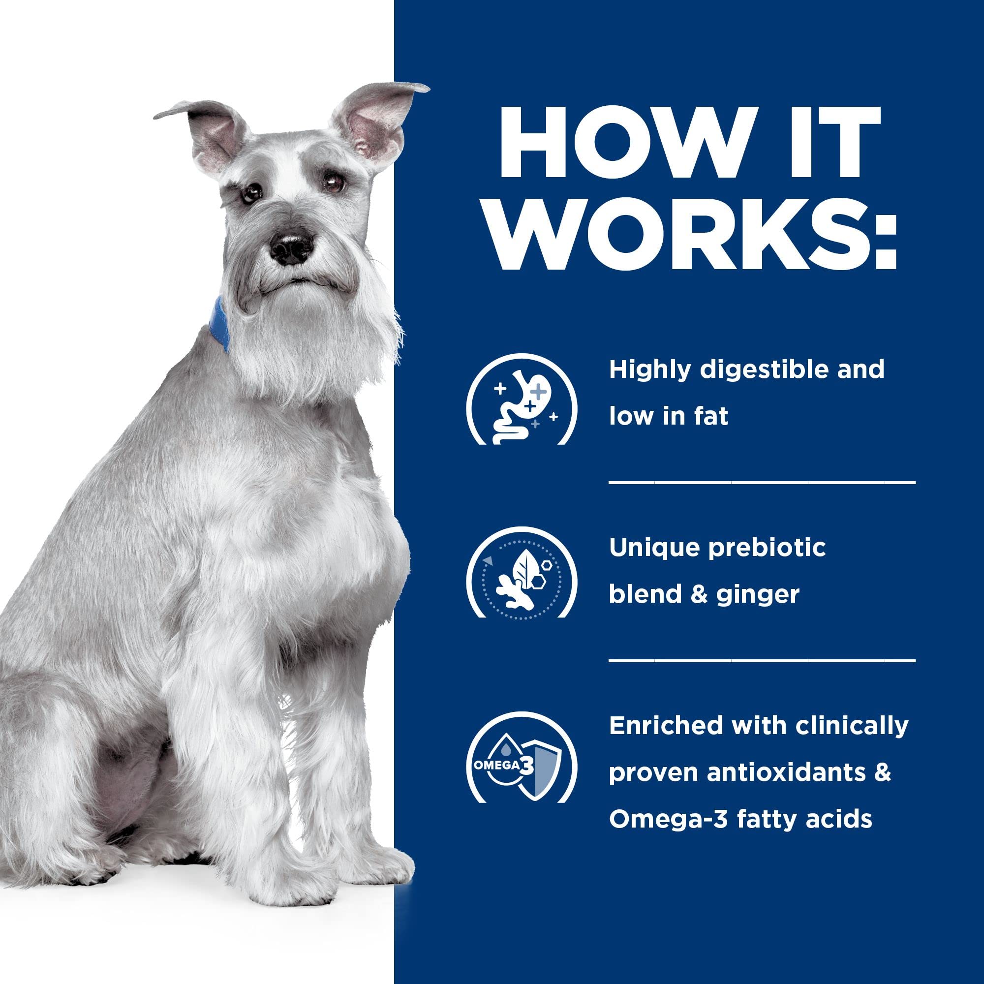 Hill's Perro activo gracias a dieta digestiva equilibrada.