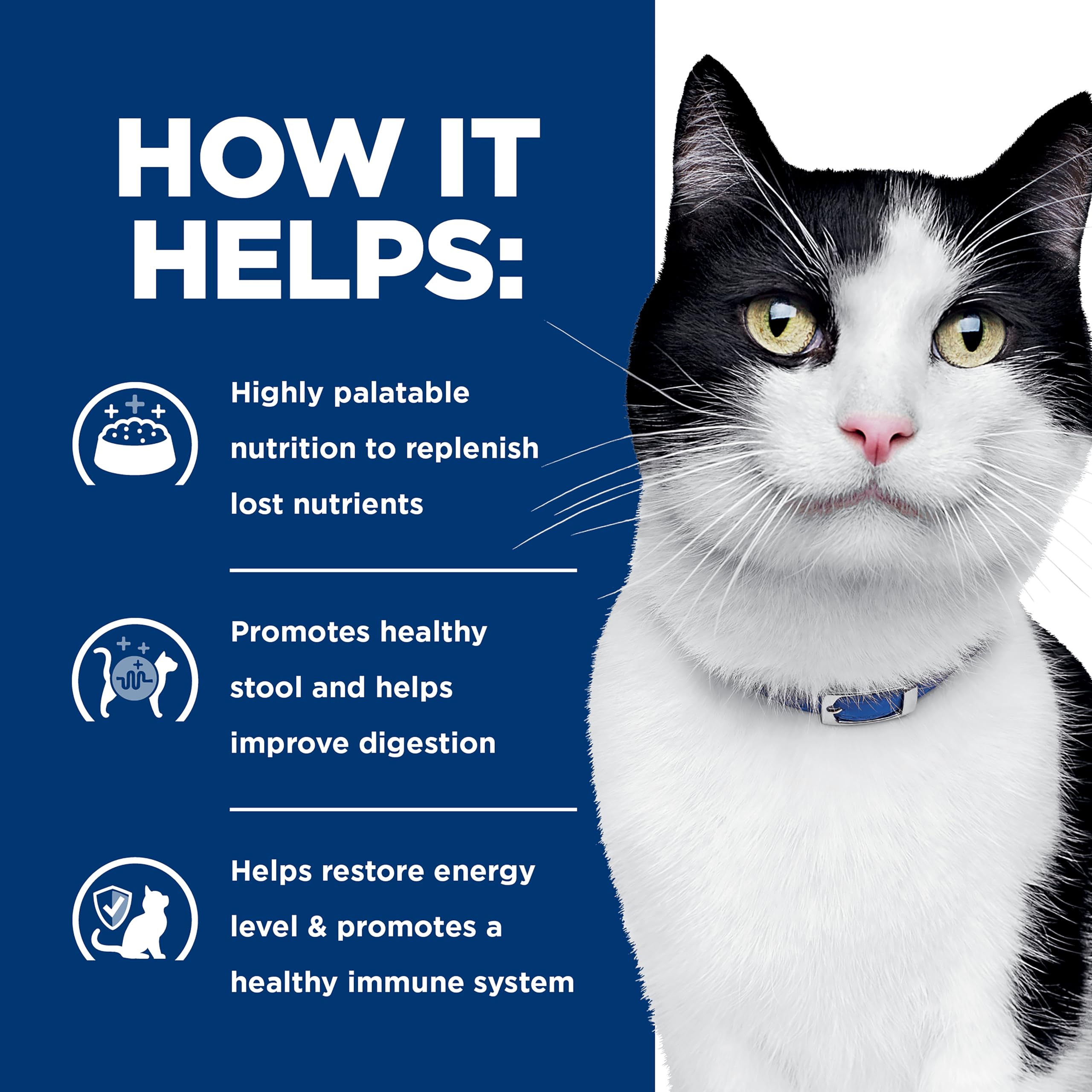 Hill's Prescription Diet i/d Digestive Care, recomendable por veterinario, consulta para confirmar idoneidad.