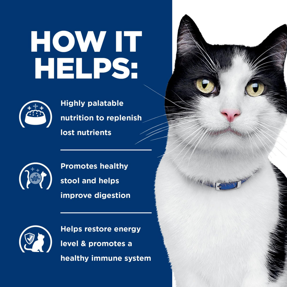 Hill's Prescription Diet i/d, contiene electrolitos y vitaminas para reponer nutrientes.