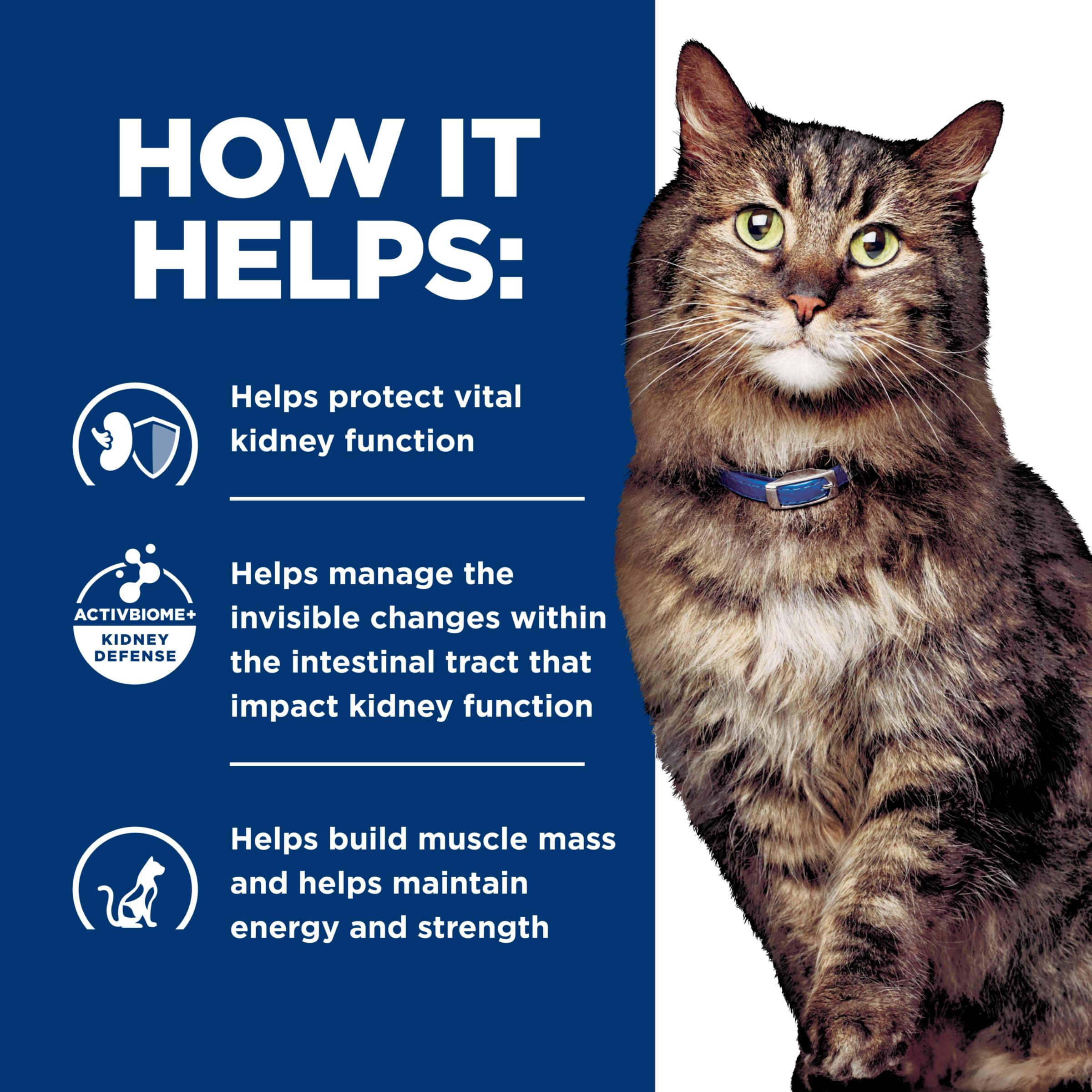 Comedero con Hill's k/d en presentación para gatos