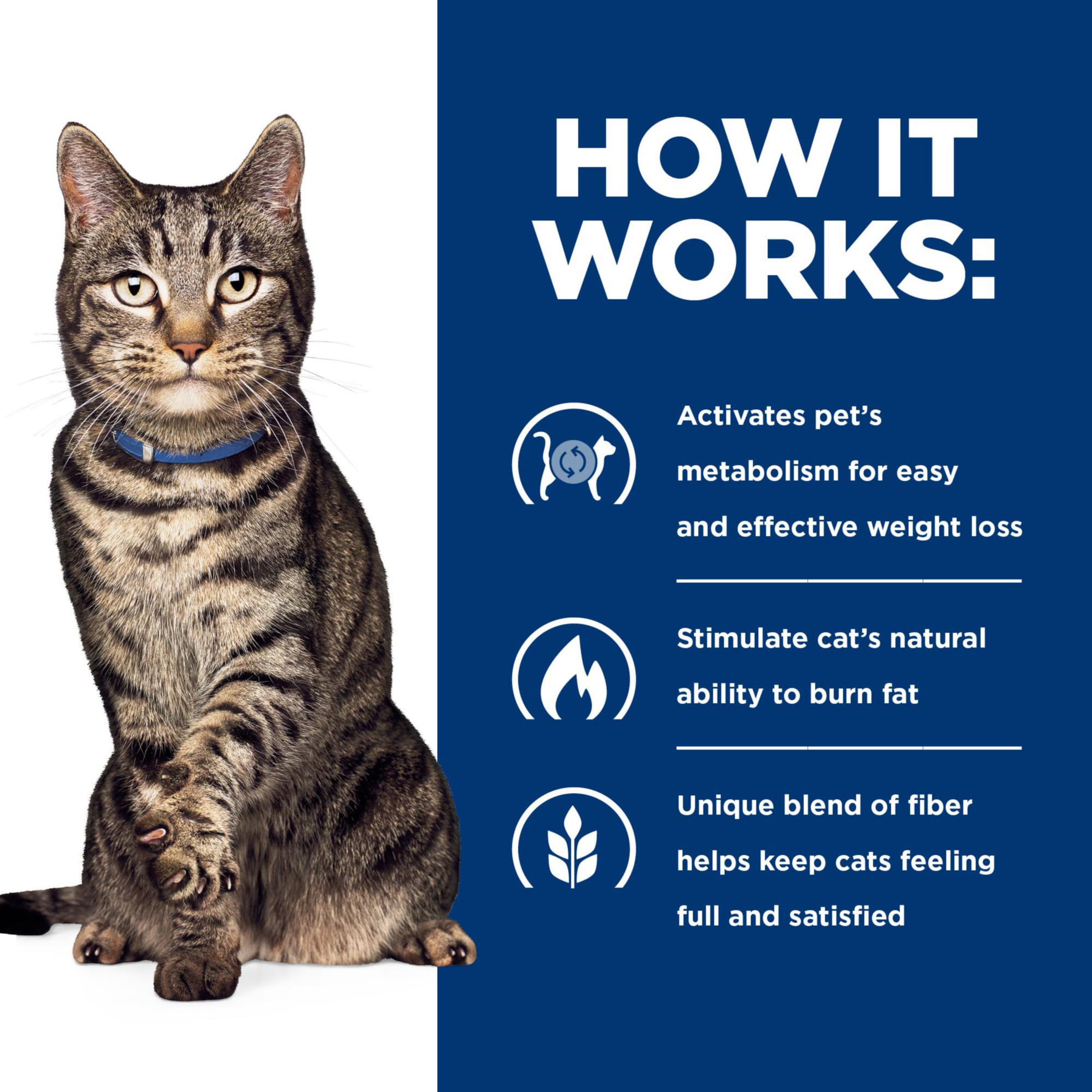 Hill's Prescription Diet Metabolic escena familiar con gato activo