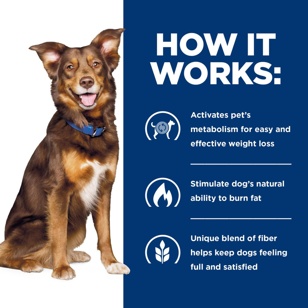 Hill's Metabolic porciones adecuadas para perro de tamaño medio.