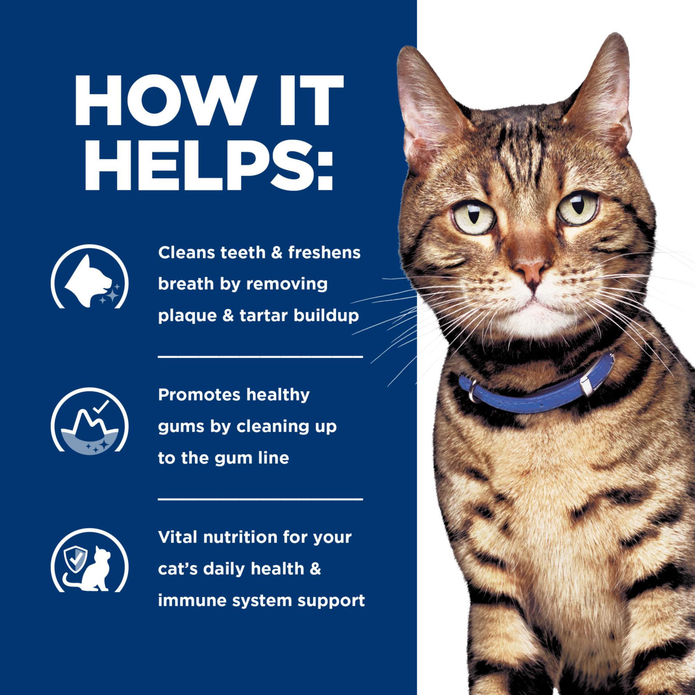 Hill's Prescription Diet t/d aprobado por veterinarios