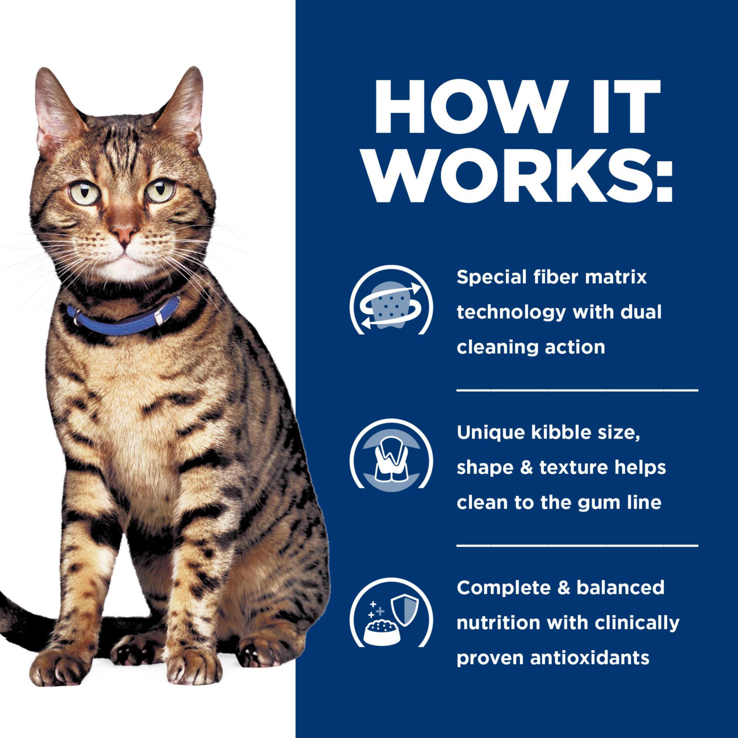 Hill's Prescription Diet t/d cuidado dental para gatos
