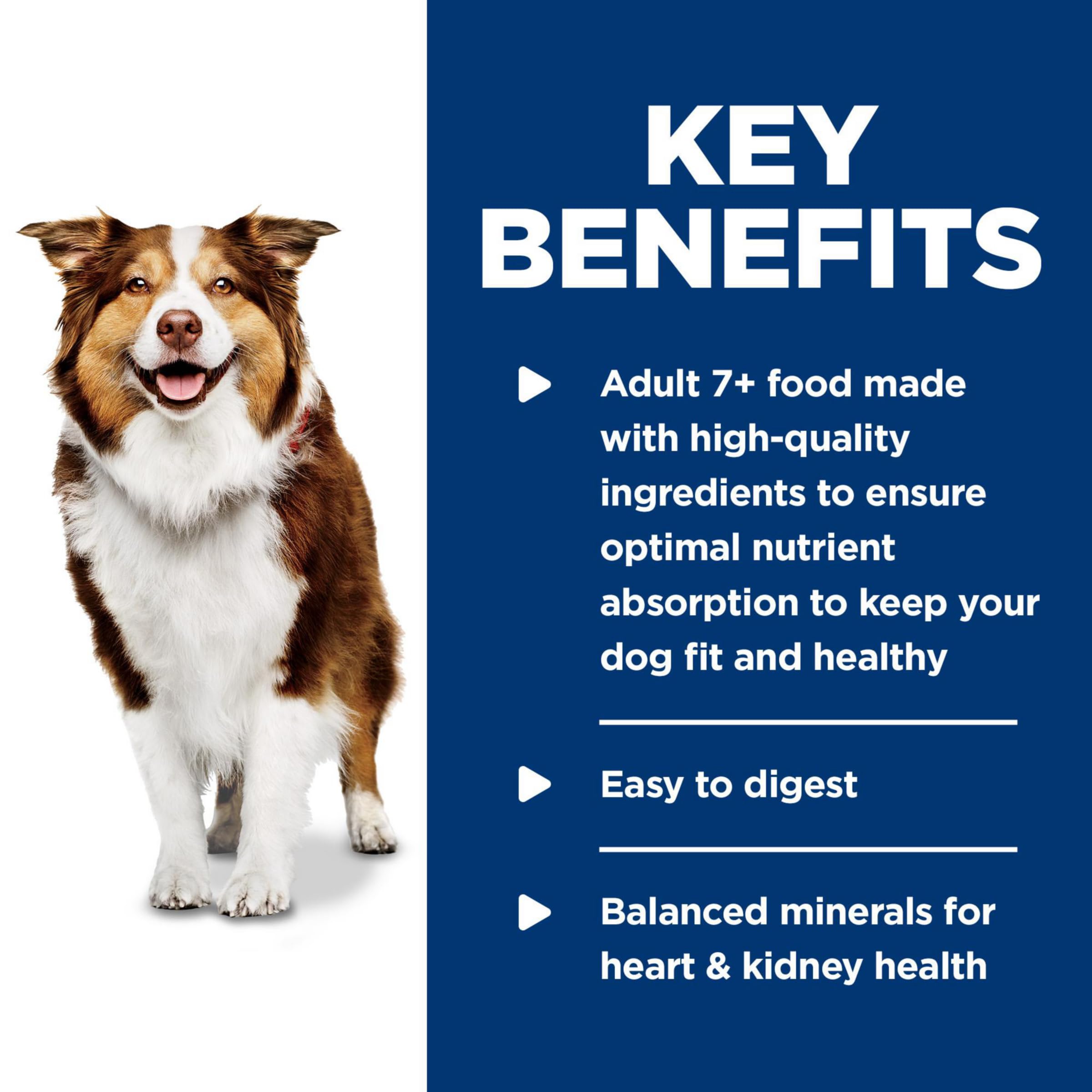 Hill's Science Diet Adult 7+ textura suave, facilita la digestión en perros mayores