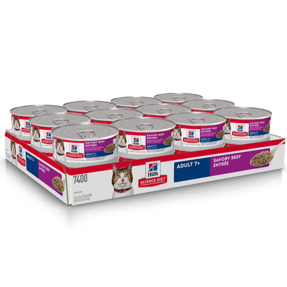 Lata servida en comedero, aroma agradable para gatos mayores.