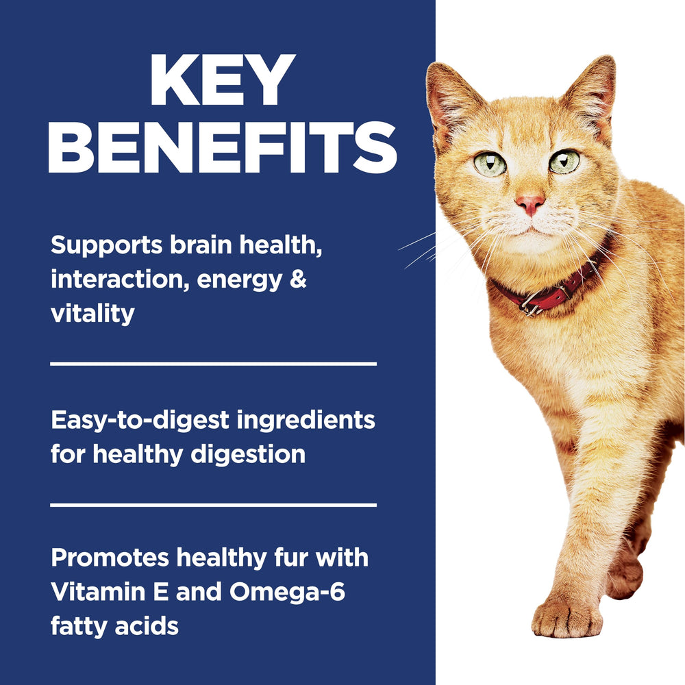 Gato comiendo Hill's Science Diet Adult 7+ Senior Vitality