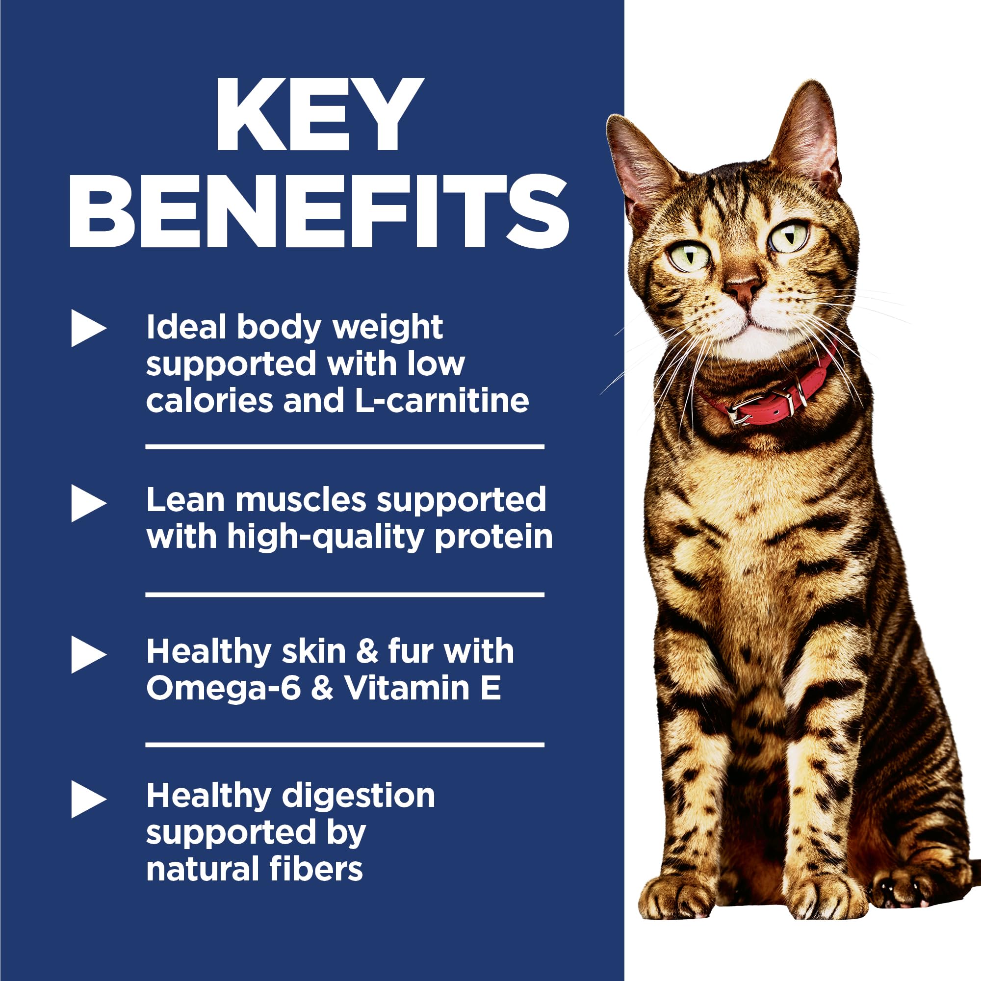 Hill's Science Diet: ActivBiome+ Multi-Benefit para digestión e inmunidad