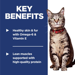 Hill's Science Diet ActivBiome+ Multi-Benefit: beneficios de prebióticos para digestión.