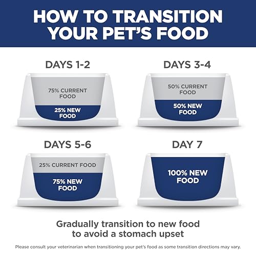 Hill's Science Diet recomendado por veterinarios para gatos