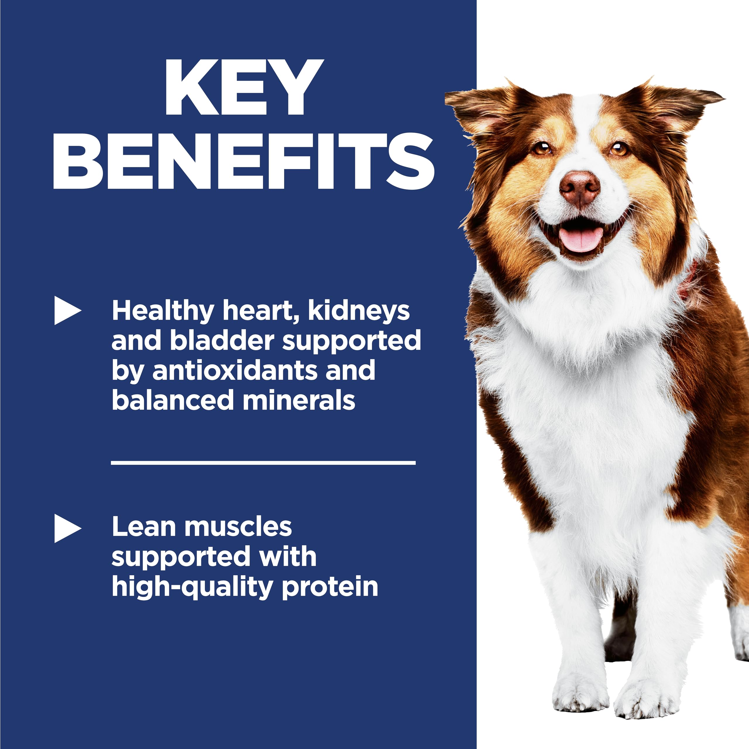 Hill's Science Diet Adult 7+ aporta energía diaria para perros activos.