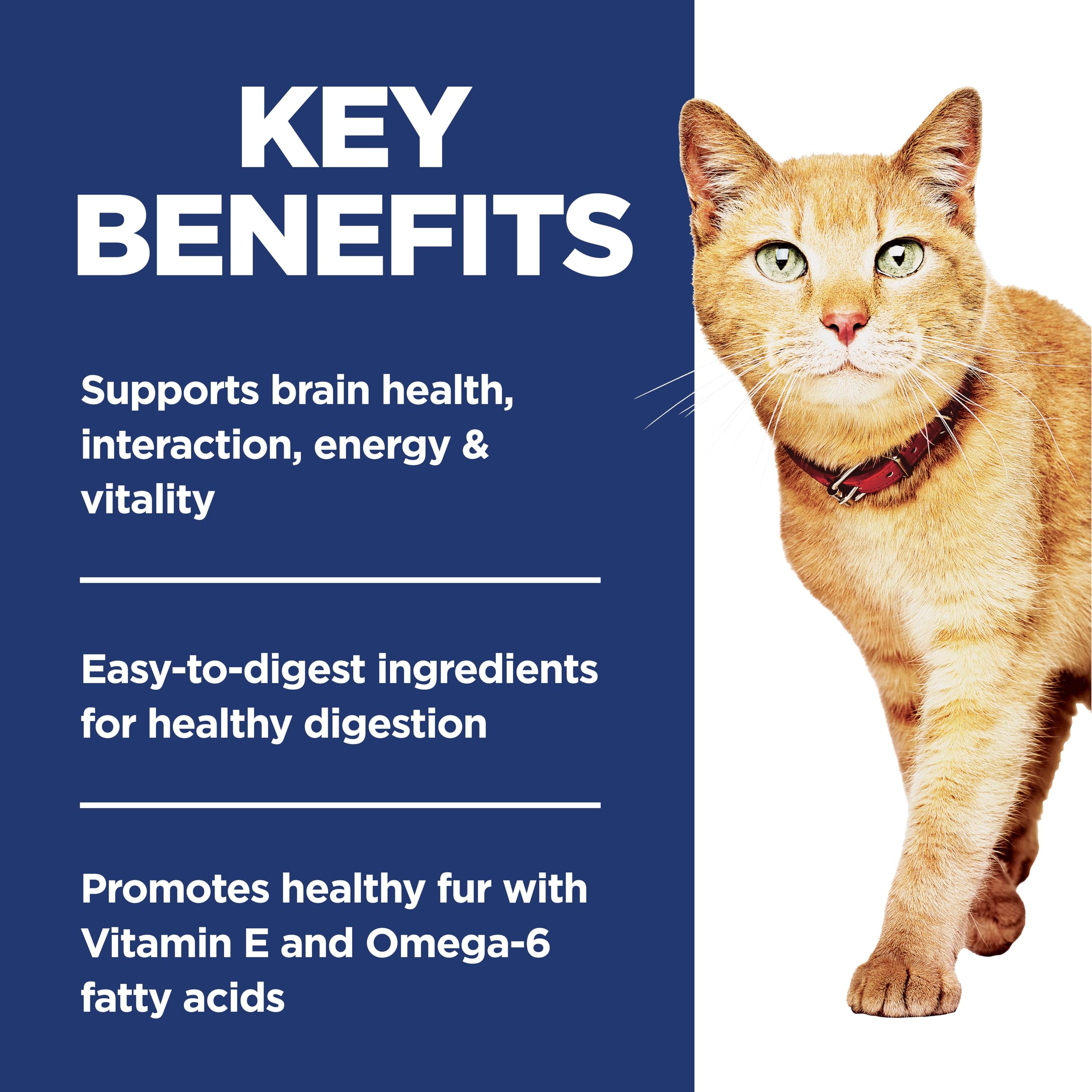 Gato comiendo Hill's Science Diet con digestión suave
