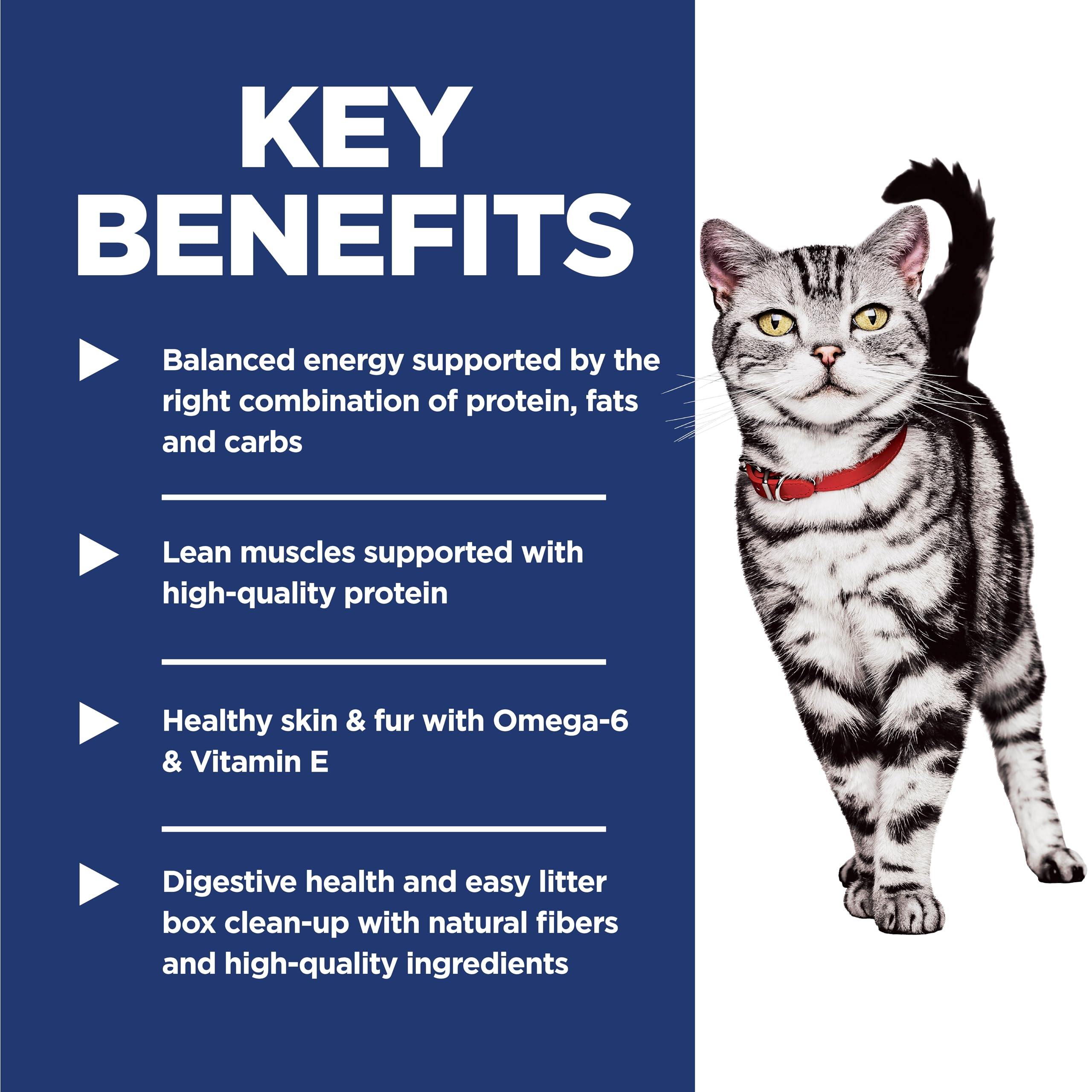 Hill's Science Diet, fibra natural para digestión suave en gatos indoor.
