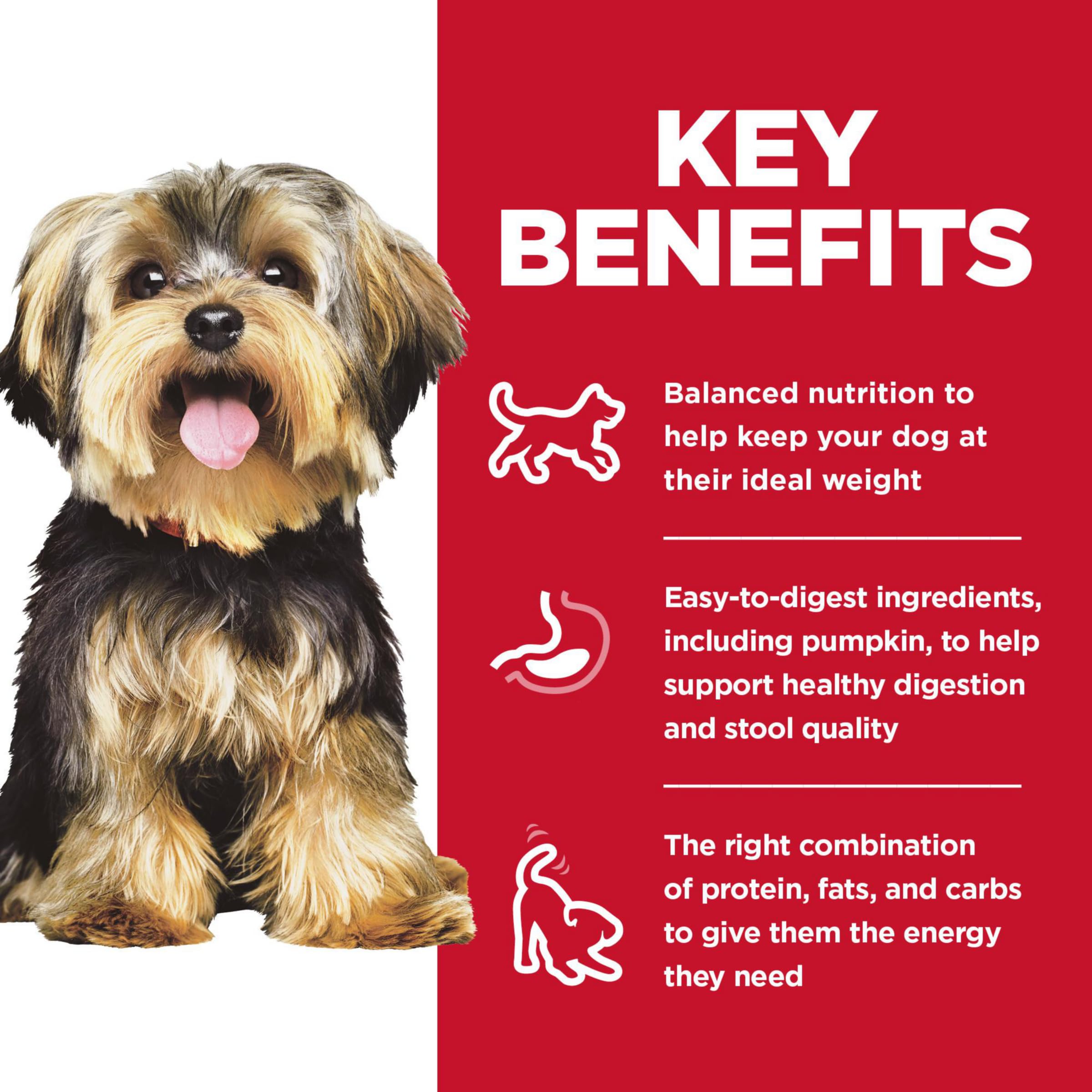 Hill's Science Diet, ingredientes fácilmente digestibles con arroz integral y vegetales.