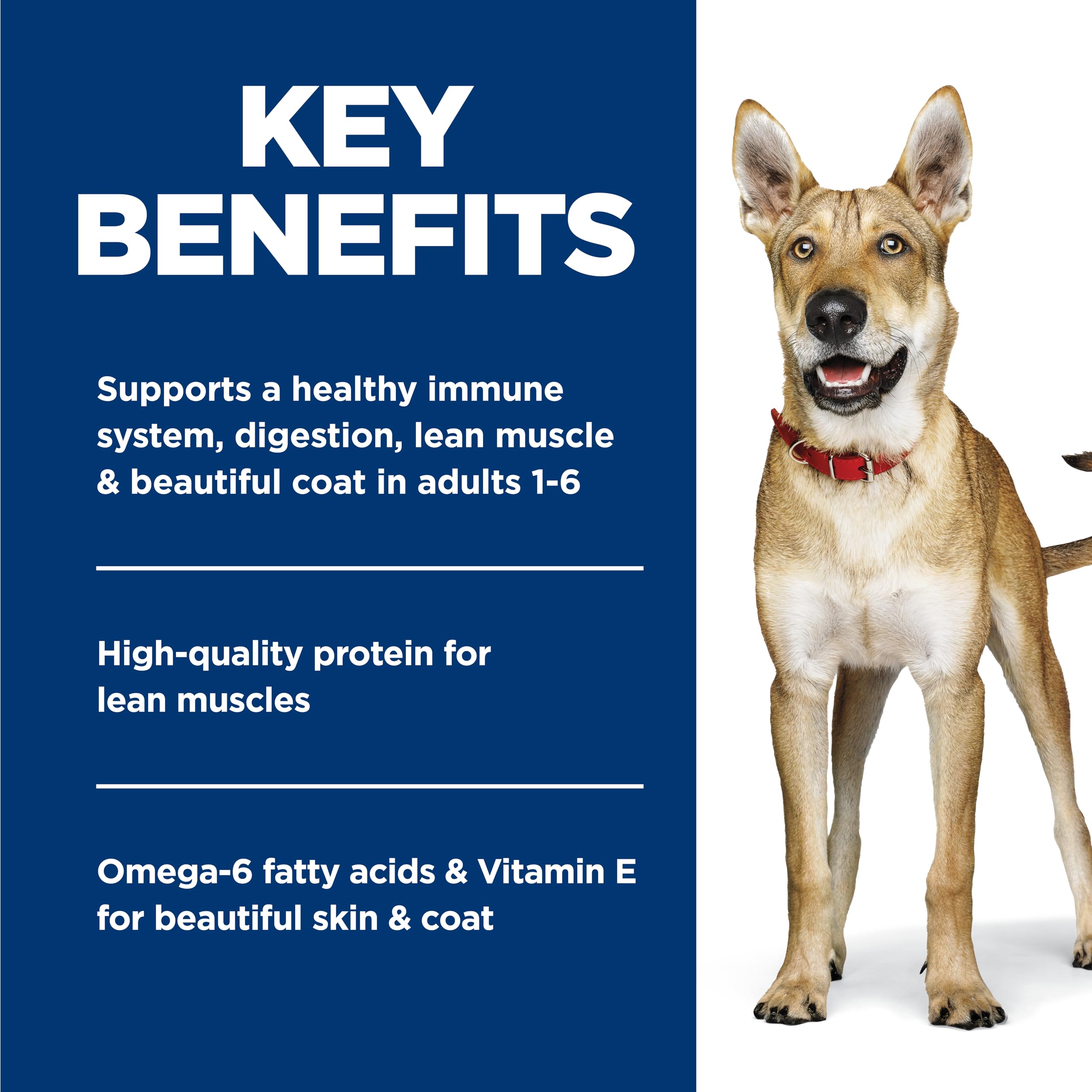 Omega-6 para piel y pelaje brillantes en Hill's Science Diet.