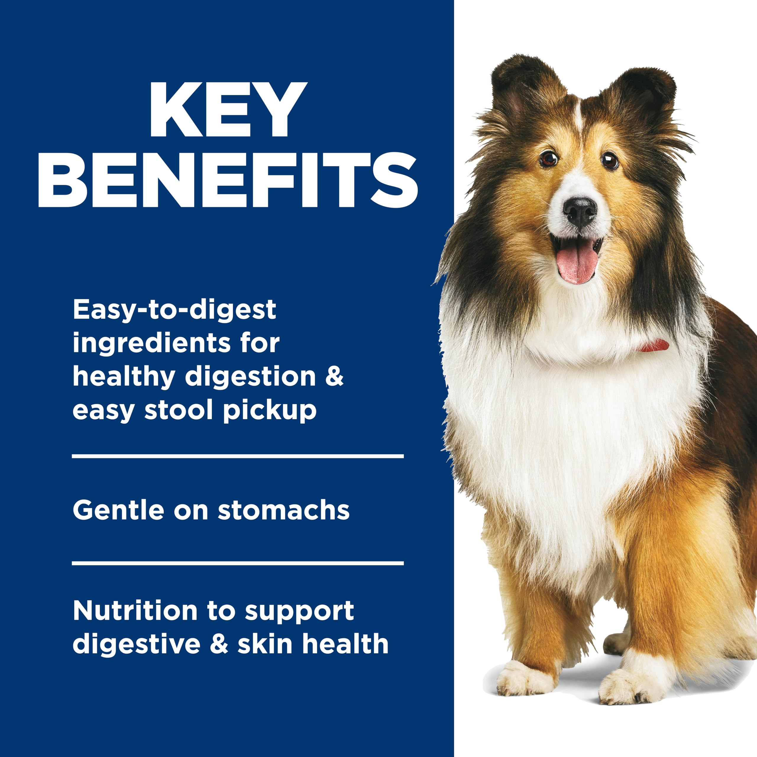 Hill's Science Diet estofado lento de pollo; sabor que entusiasma a perros.