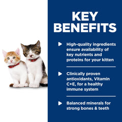 Hill's Science Diet Gatito Antioxidantes Vitamina C y E: refuerzo inmunológico