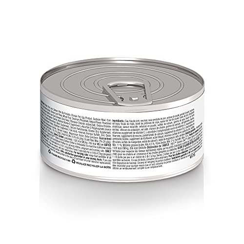 Hill's Science Diet Gatito Salmón textura suave para paladar sensible