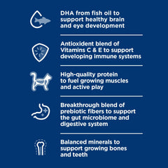 Hill's Science Diet Gatitos – etiqueta destaca DHA para desarrollo cerebral y visual.