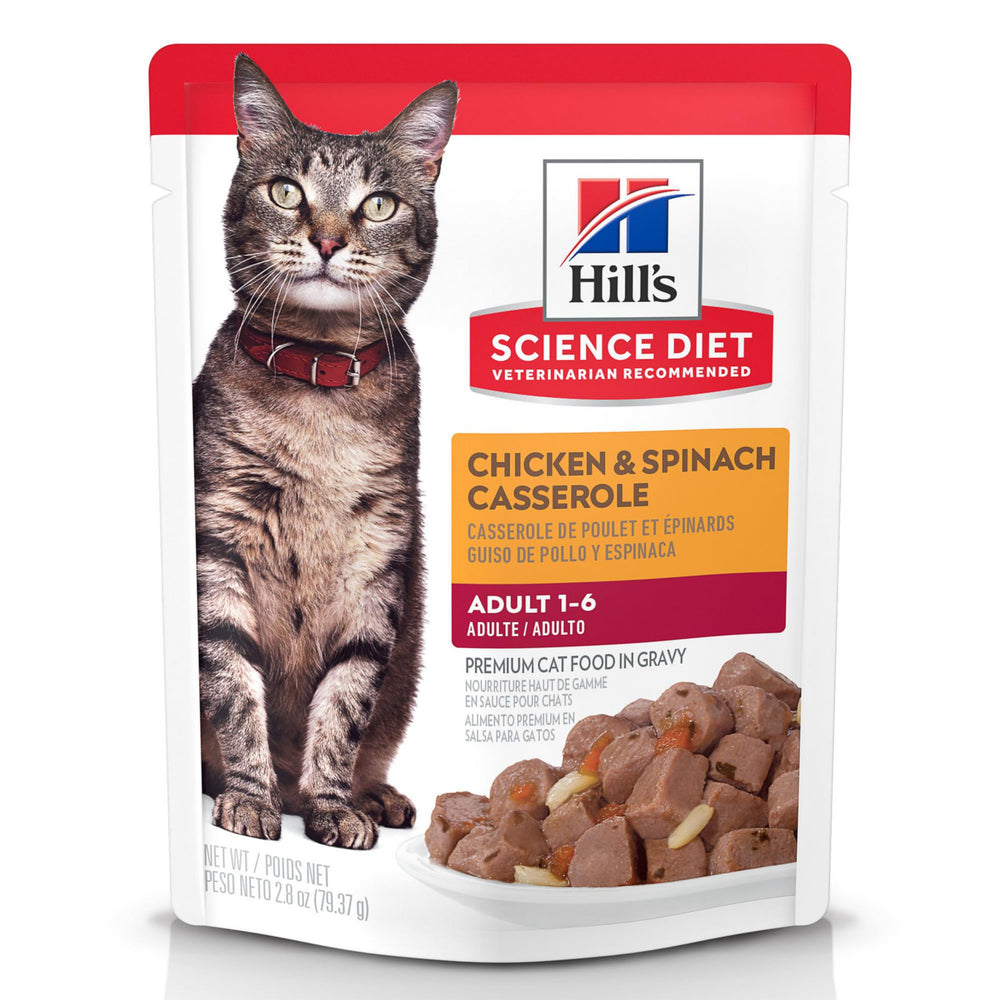 Hill's Science Diet Gato Adulto en bolsa de pollo cazuela, nutrición equilibrada para días activos.