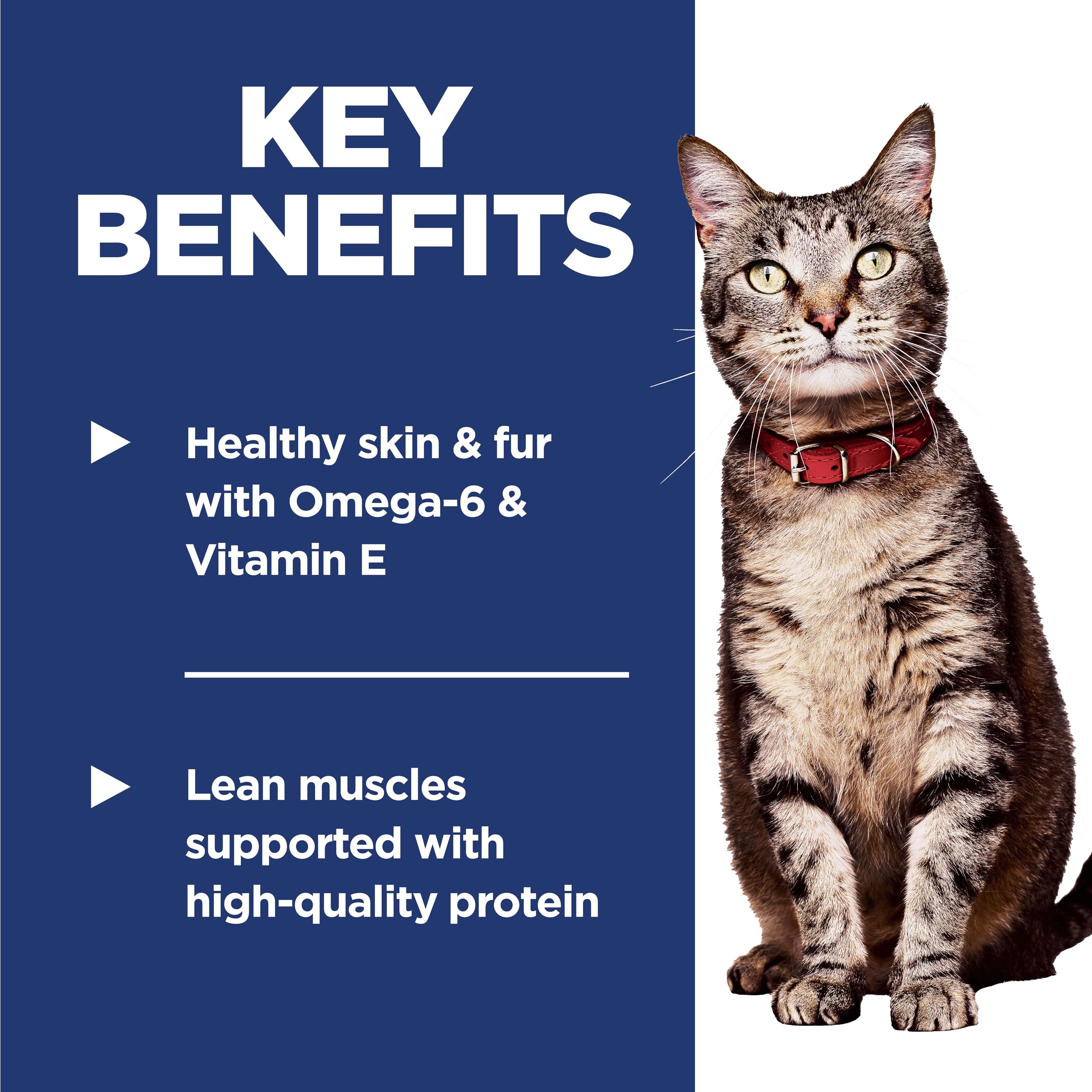 Hill's Science Diet Gato Adulto Proteína alta para músculos definidos.