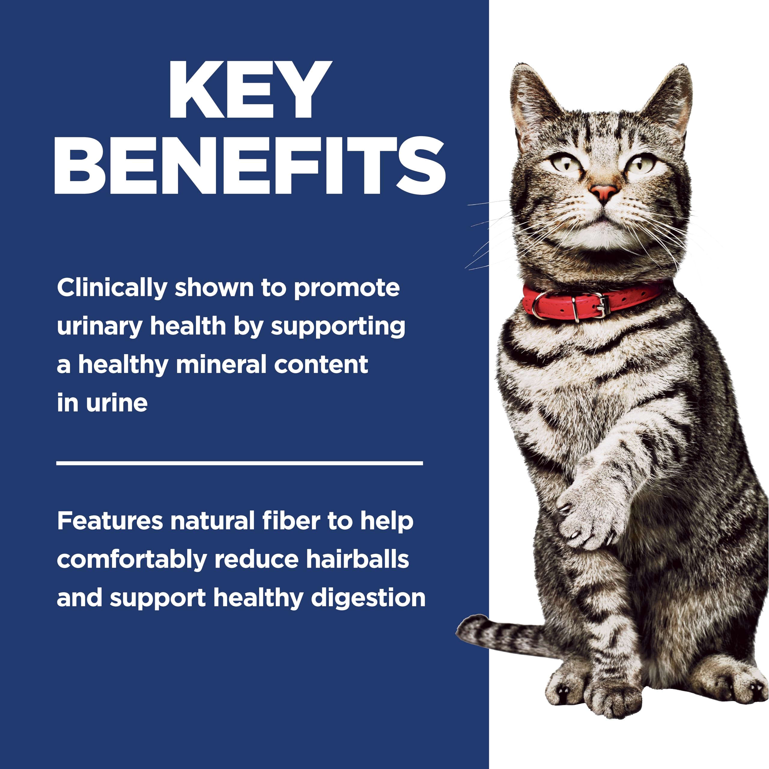 Hill's Science Diet Gato: etiqueta de USA que respalda calidad de ingredientes.