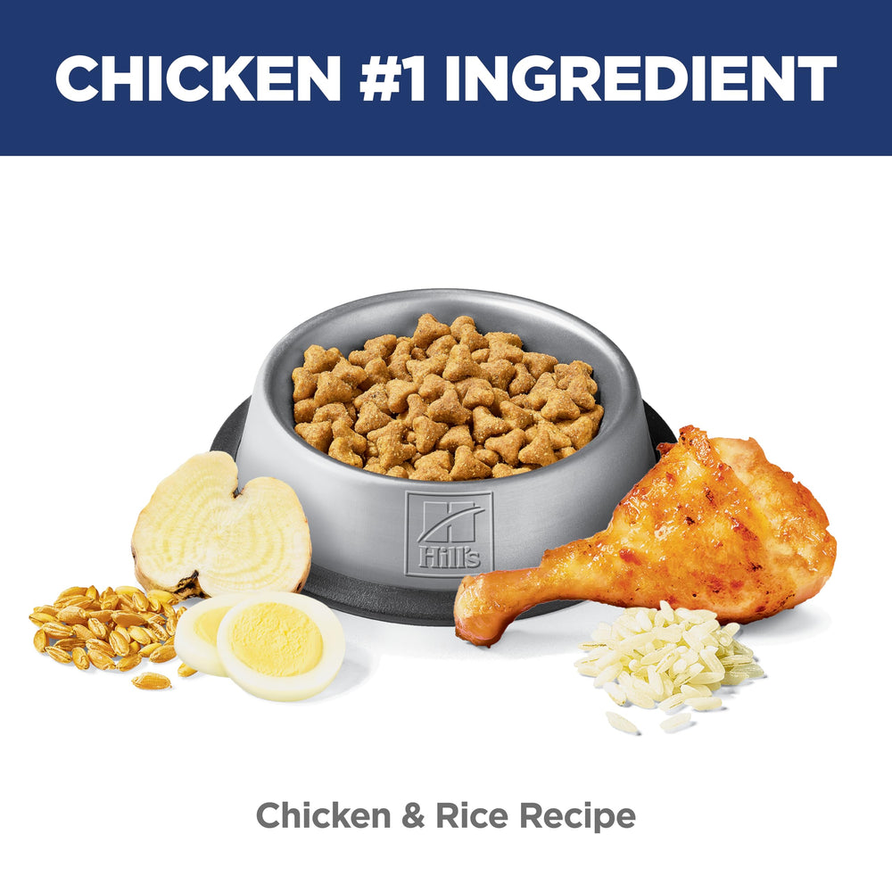 Hill's Science Diet Gato: dieta recomendada por veterinarios en Estados Unidos.