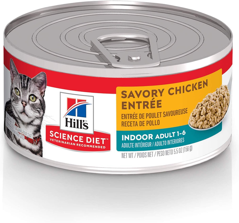 Hill's Science Diet Indoor con pollo molido en lata, ideal para gatos de interiores.