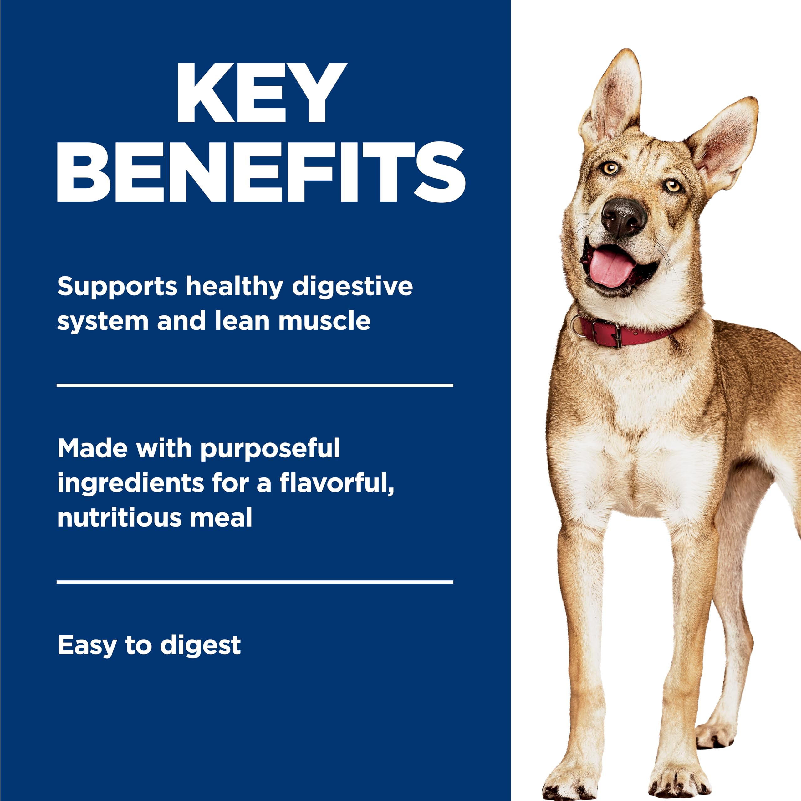 Ingredientes naturales de Hill's Science Diet con carne y verduras para perros.