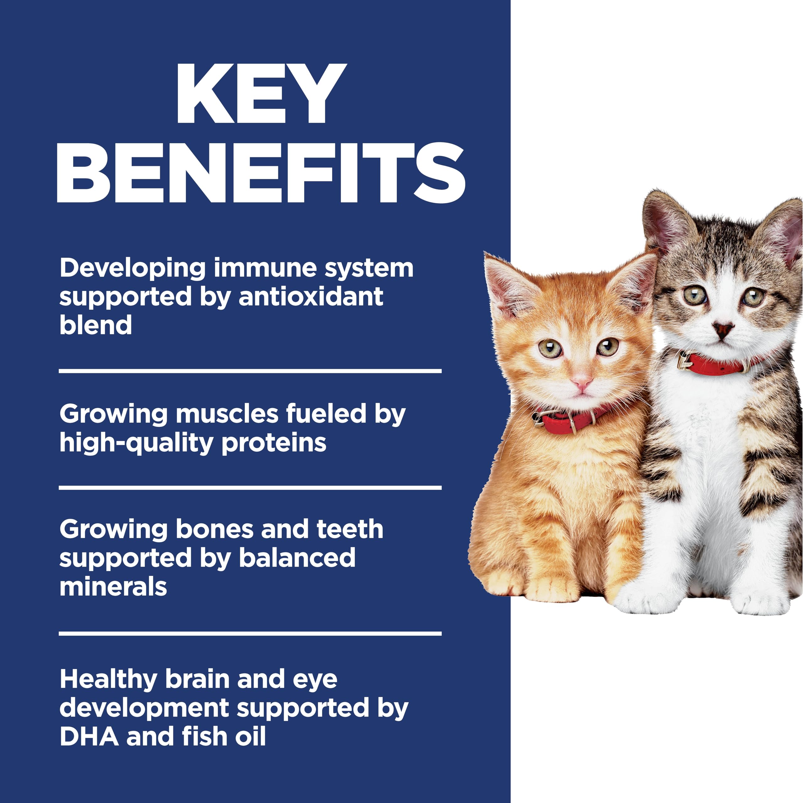 Hill's Science Diet Kitten: DHA aceite de pescado, desarrollo cerebral y ocular potencial.