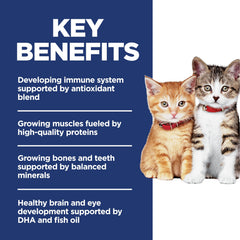 Hill's Science Diet Kitten: DHA aceite de pescado, desarrollo cerebral y ocular potencial.
