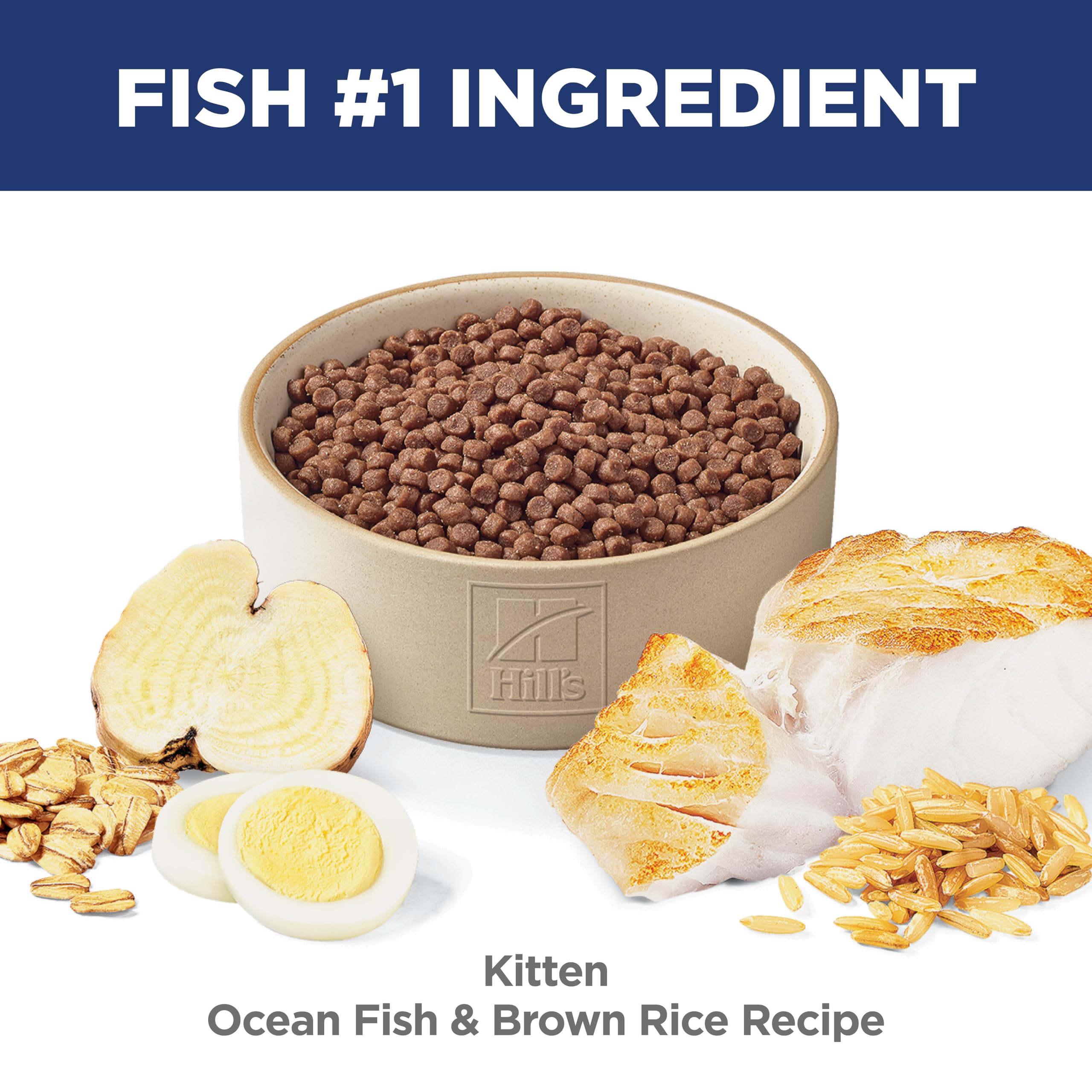 Hill's Science Diet Kitten minerales equilibrados para huesos y dientes en crecimiento