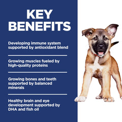 Hill's Science Diet con minerales equilibrados para huesos y dientes en desarrollo