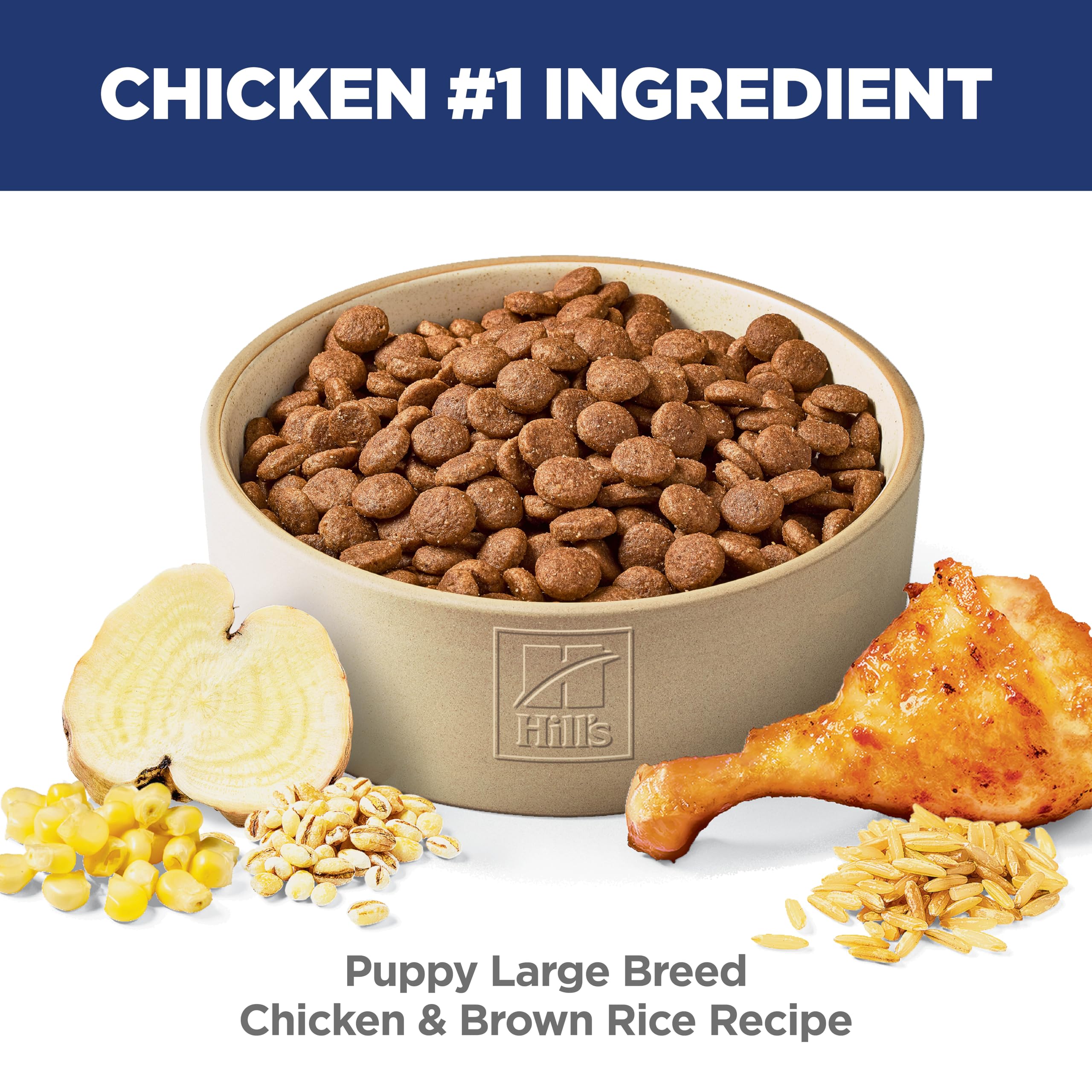 Hill's Science Diet con pollo y arroz integral, sabor nutritivo para cachorros grandes