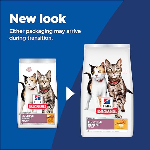 Gato adulto comiendo Hill's Multi-Benefit con croquetas de pollo en plato.