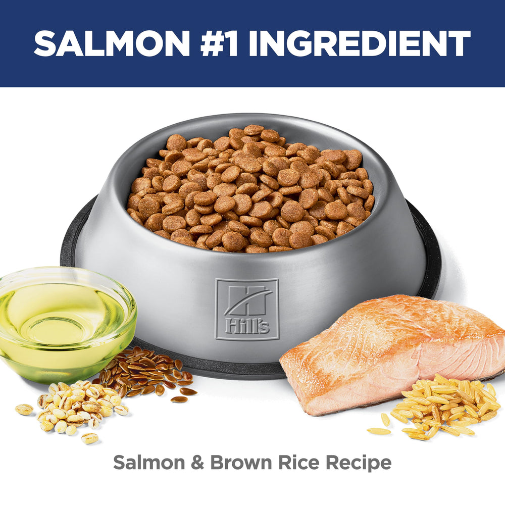 Hill's Science Diet Puppy salmón como primer ingrediente, proteína de calidad.
