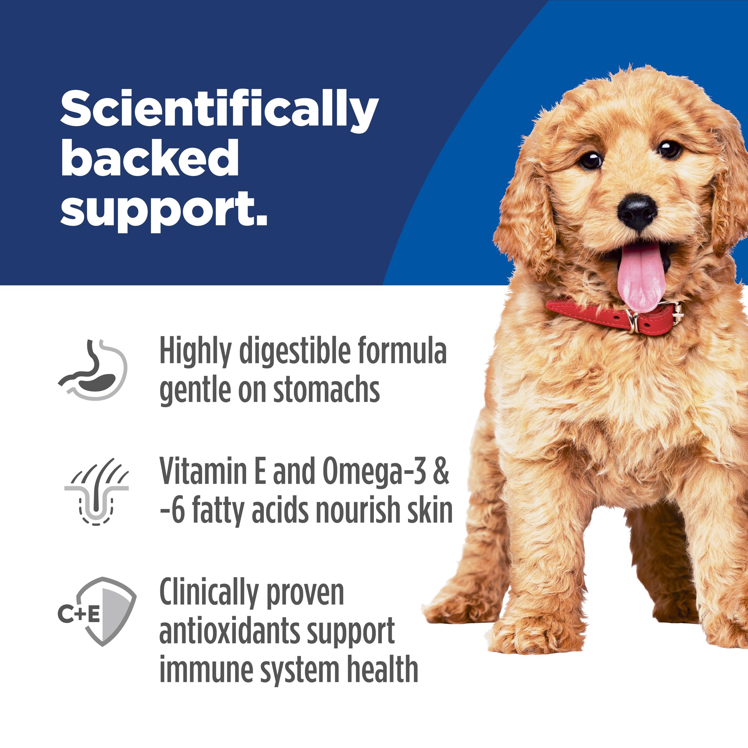 Hill's Science Diet Puppy arroz integral en la mezcla, apoyo digestivo.
