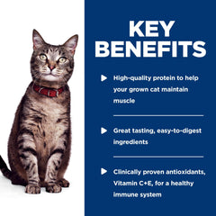 Hill's Science Diet proteína de alta calidad para gatos adultos
