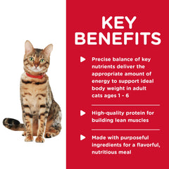 Hill's Science Diet proteína alta calidad para gatos, salmón y espinacas en lata