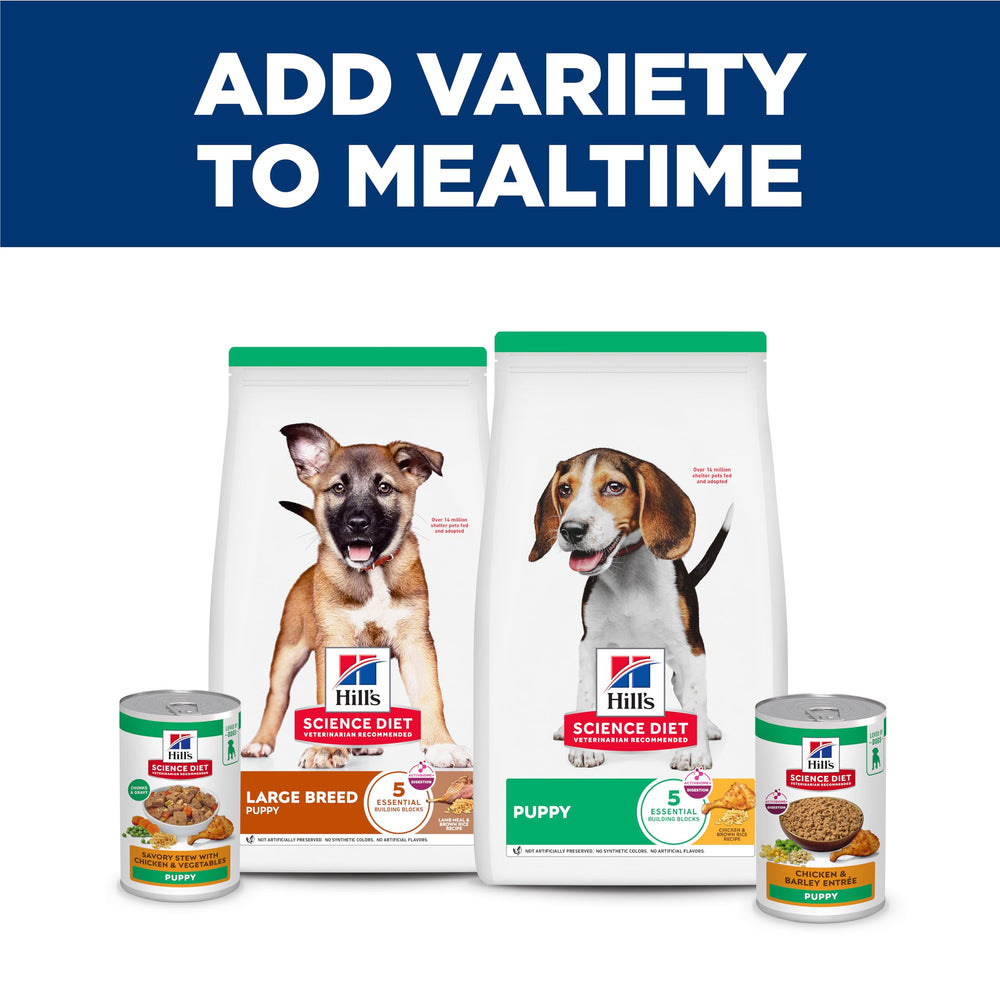 Hill's veterinarios recomiendan Hill's para cachorros en desarrollo
