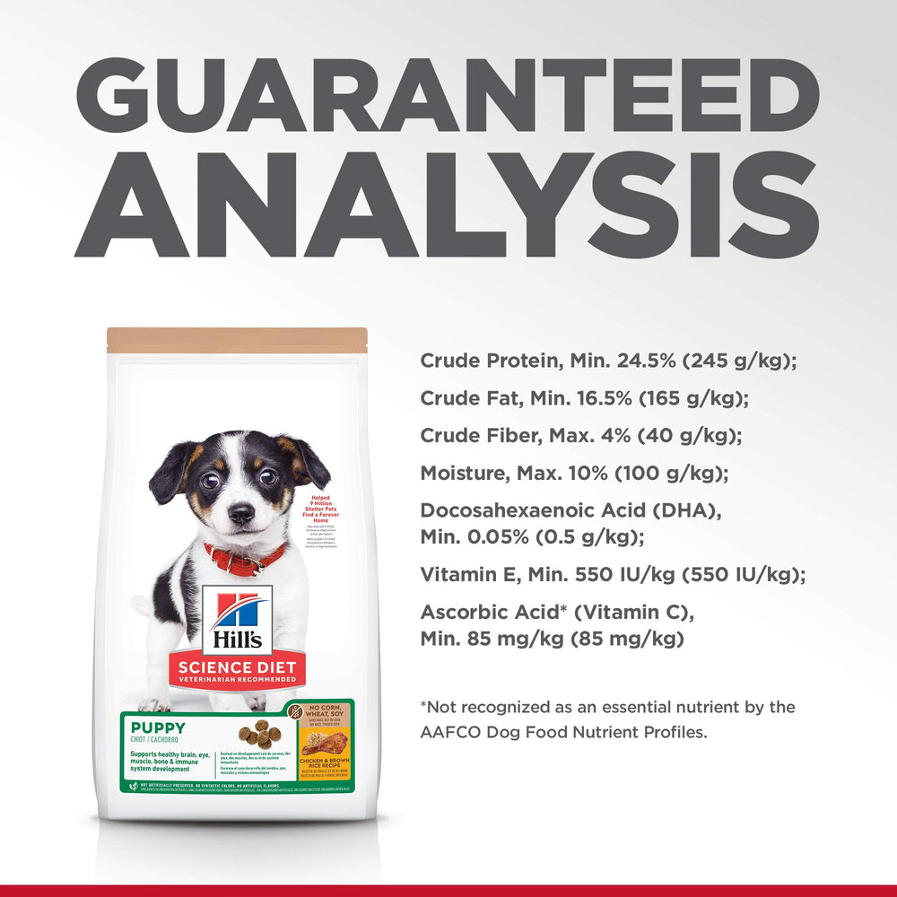 Hill's Science Diet Puppy recomendado por veterinarios para cachorros.