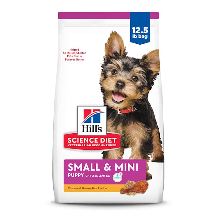 Hill's Science Diet Puppy Small & Mini, antioxidantes para sistema inmune en desarrollo