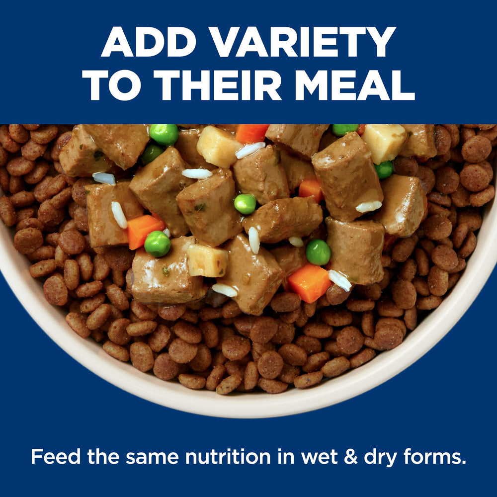 Hill's Science Diet Puppy Small & Mini Beef & Barley antioxidantes para inmunidad.