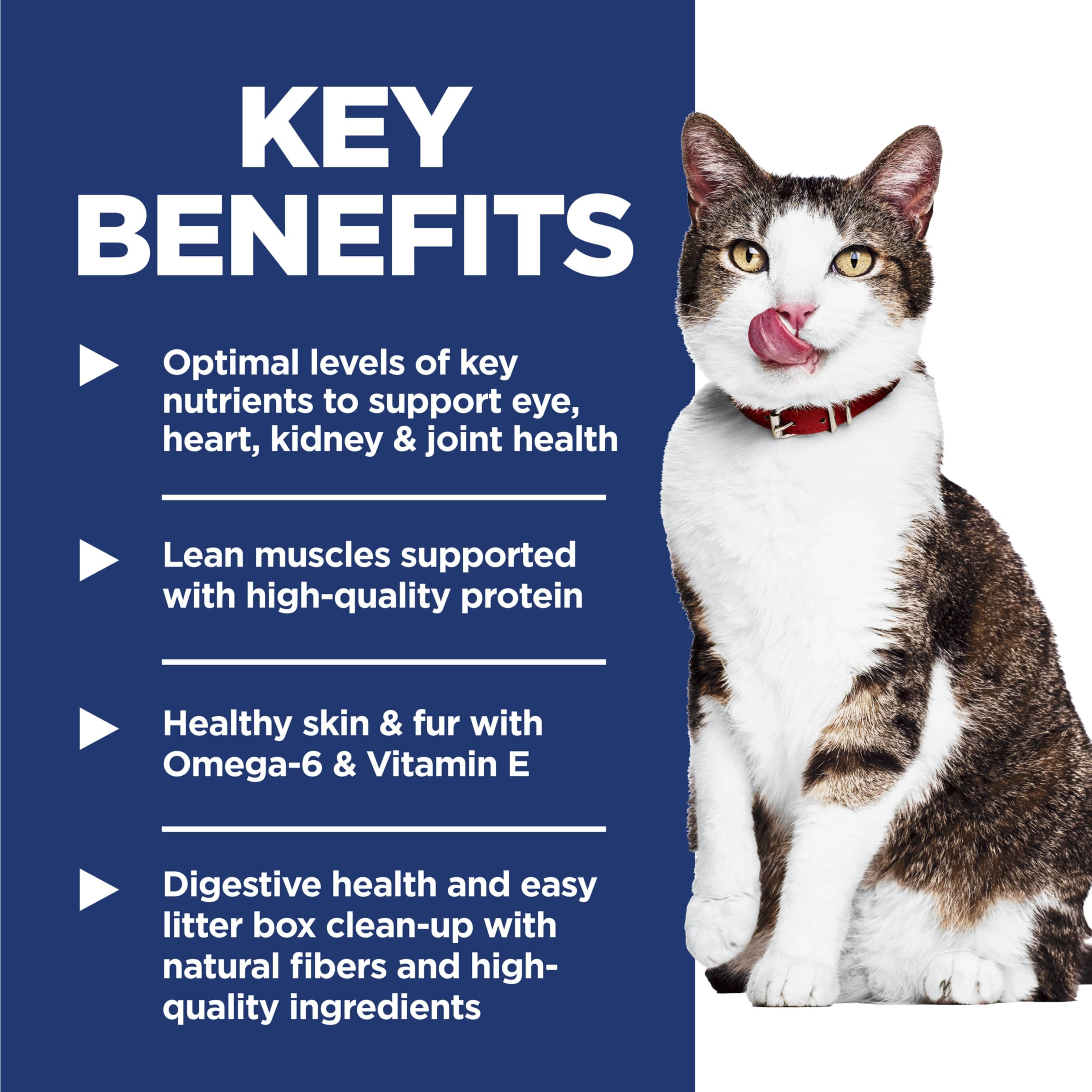 Hill's Science Diet Senior 11+ Indoor: proteína de pollo de alta calidad para mantenimiento muscular