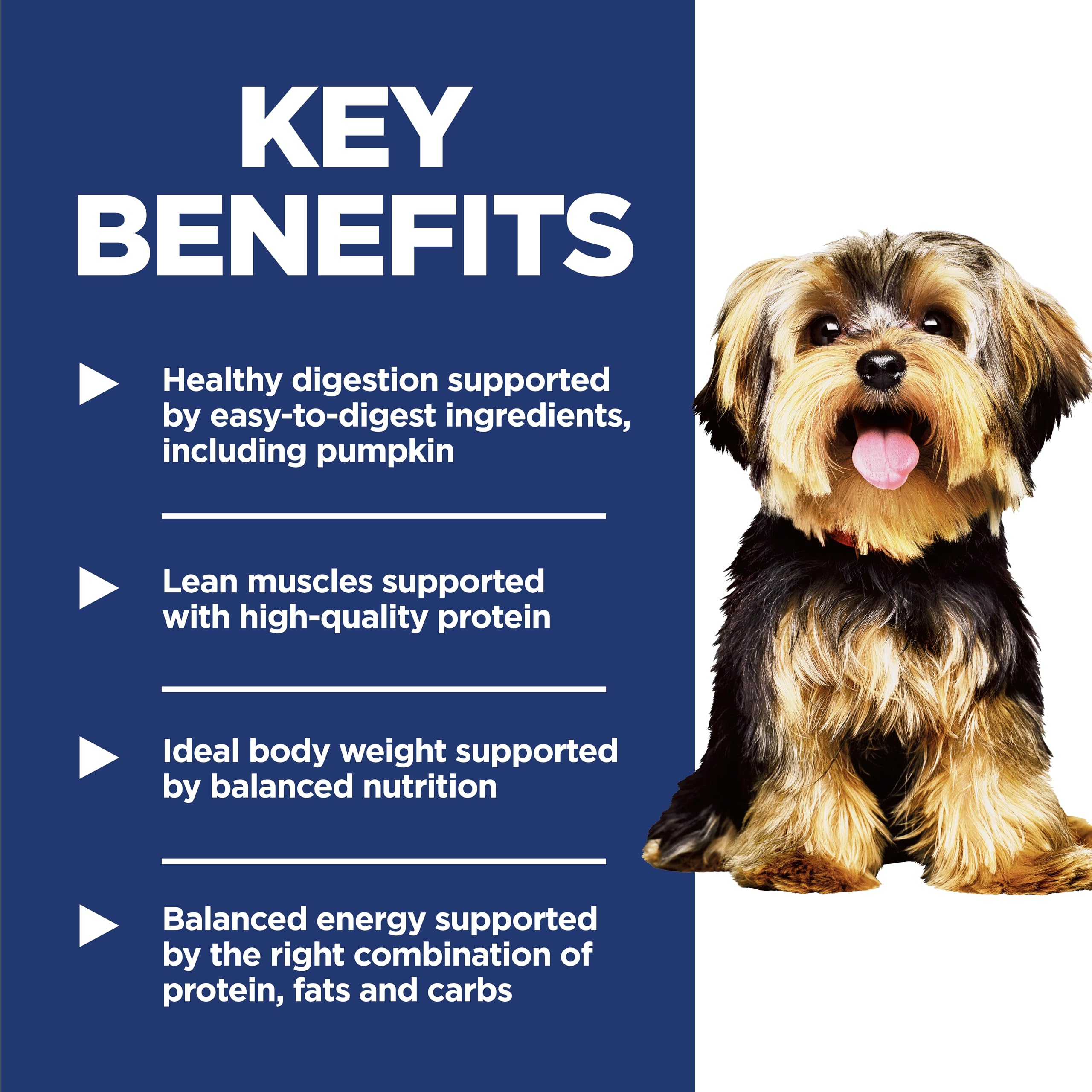 Hill's Science Diet Small & Mini, croquetas de textura adecuada para perros pequeños