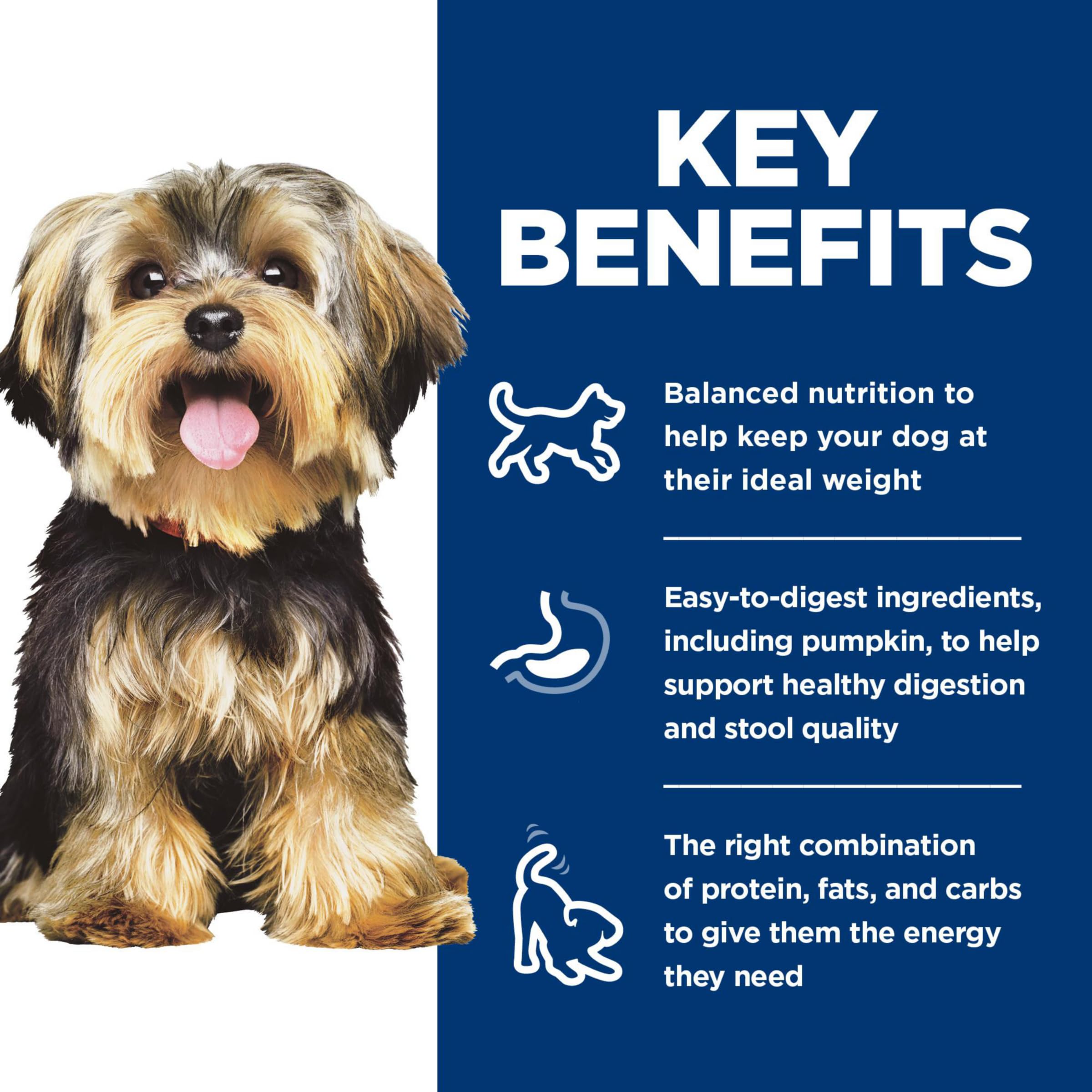 Hill's Science Diet Small & Mini, plato salmón y verduras, nutrición equilibrada